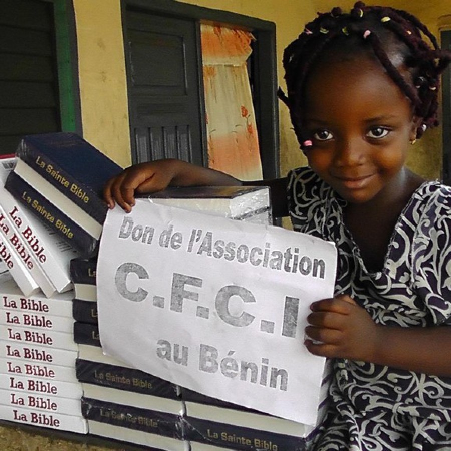 Business plan au benin image